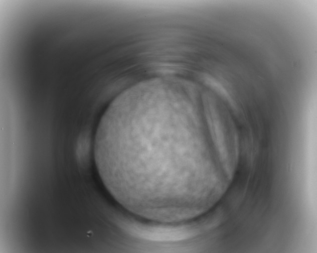 X0000088660016200706011248