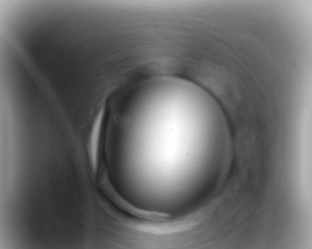 X0000088660017200706011248