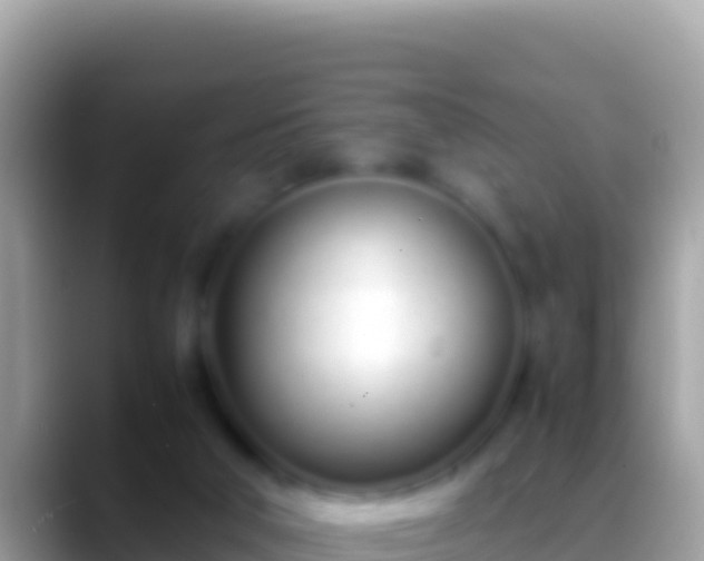 X0000088660018200706011248