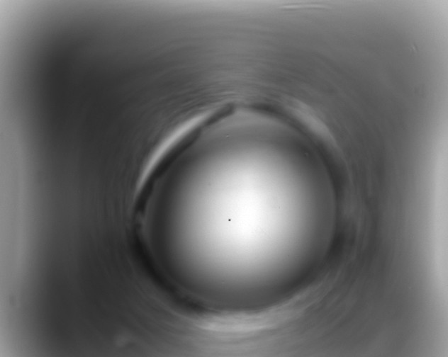 X0000088660025200706011248