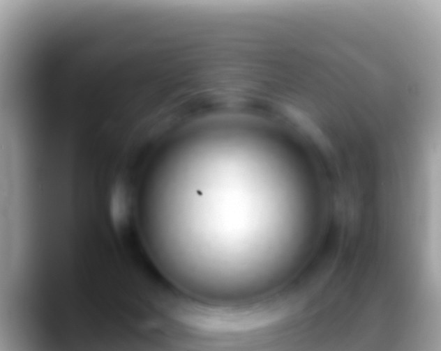 X0000088660026200706011248