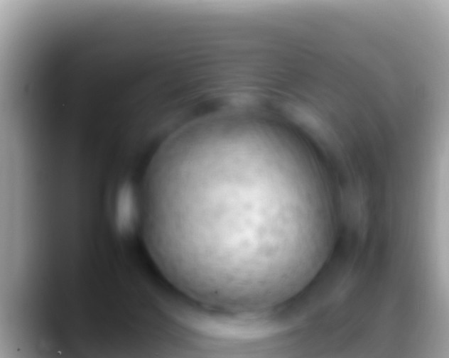 X0000088660028200706011248