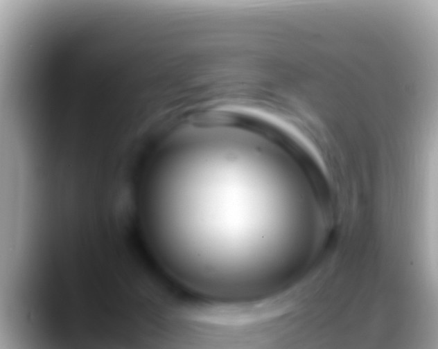 X0000088660029200706011248