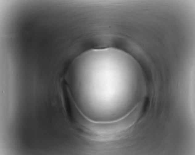 X0000088660037200706011248