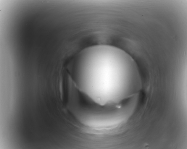 X0000088660039200706011247