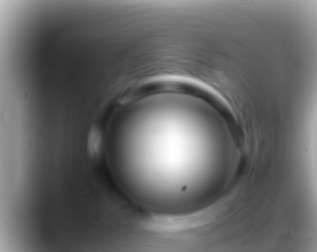 X0000088660041200706011247