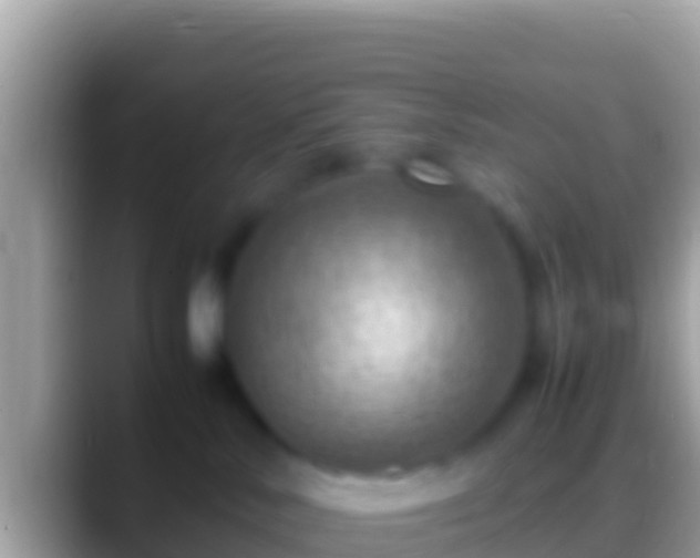 X0000088660042200706011247