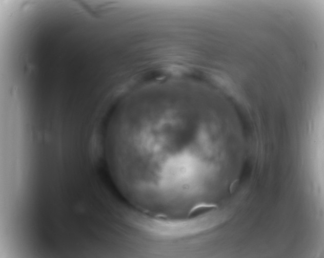 X0000088660043200706011247