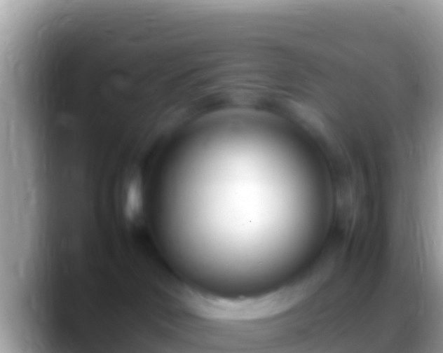 X0000088660046200706011247