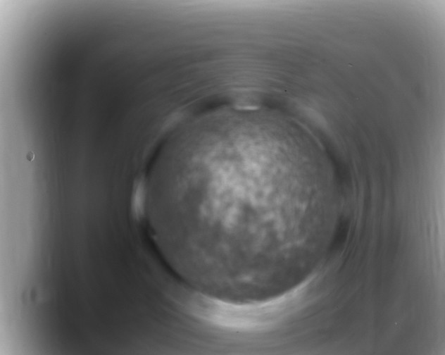 X0000088660047200706011247