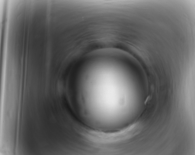 X0000088660048200706011247