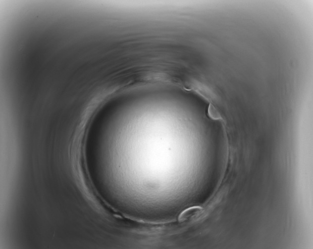 X0000088660049200706011247