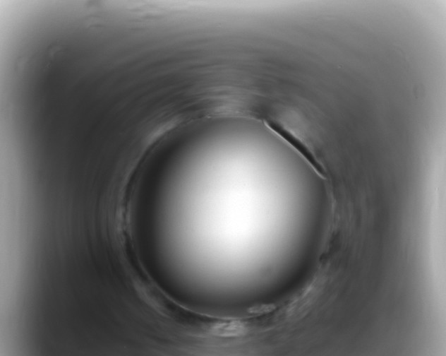 X0000088660050200706011247