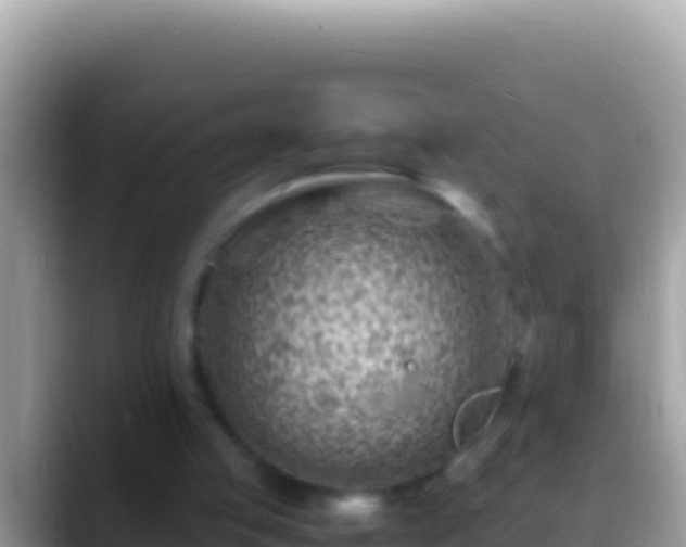 X0000088660053200706011247