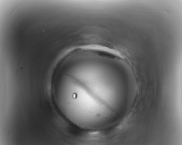 X0000088660054200706011247