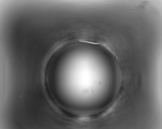 X0000088660055200706011247