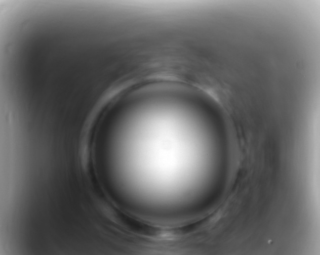 X0000088660056200706011247