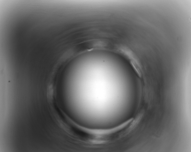 X0000088660057200706011247