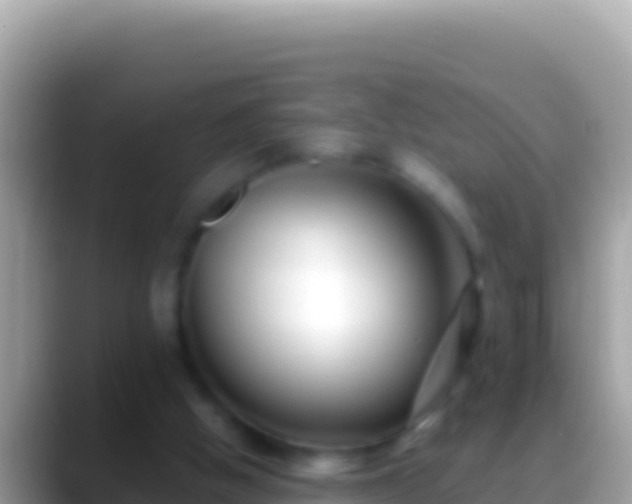 X0000088660058200706011247