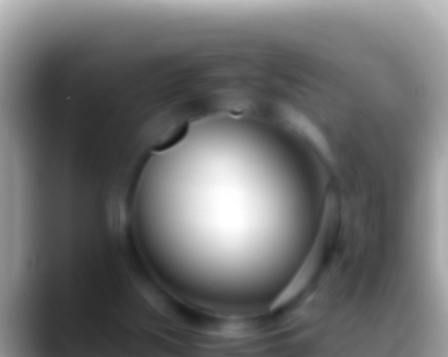 X0000088660059200706011247