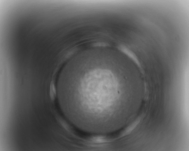 X0000088660061200706011247