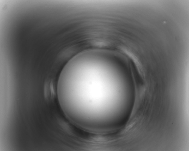 X0000088660062200706011247