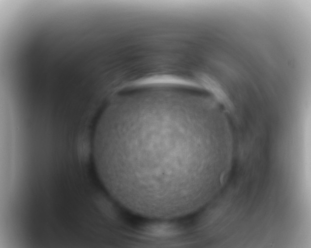 X0000088660065200706011247