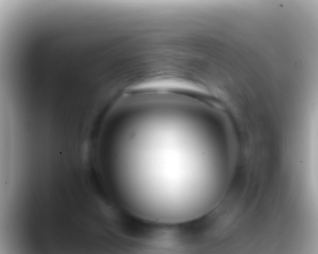 X0000088660066200706011247