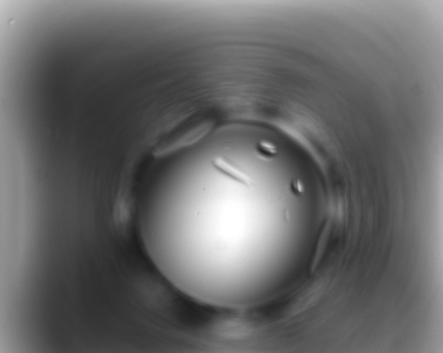 X0000088660072200706011247