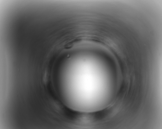 X0000088660074200706011247