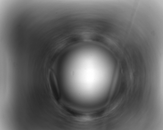 X0000088660075200706011247