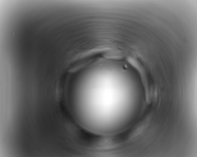 X0000088660080200706011247