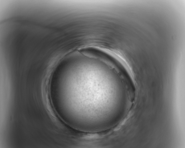 X0000088660097200706011247