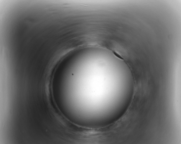 X0000088660098200706011247