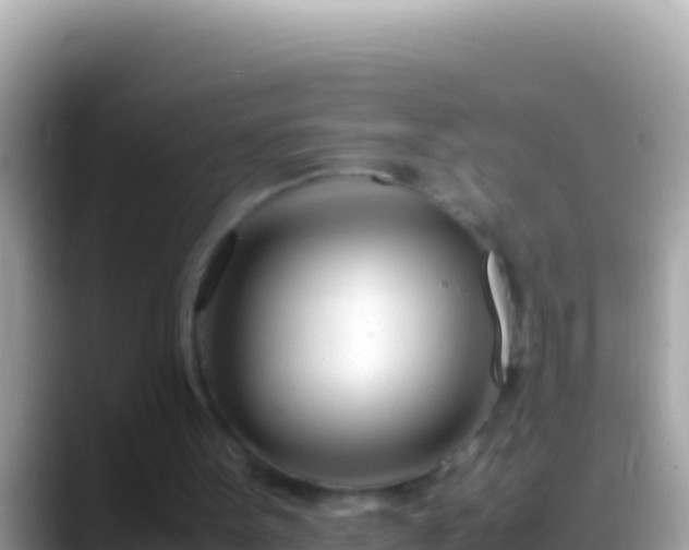 X0000088660099200706011247