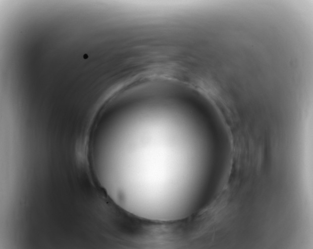 X0000088660100200706011247