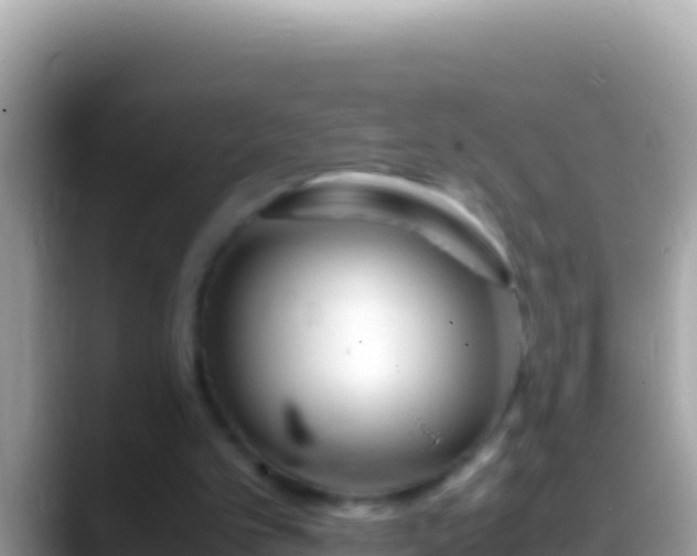 X0000088660101200706011247