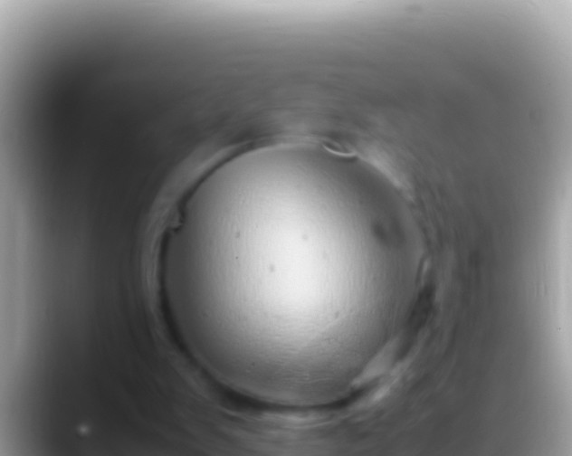 X0000088660103200706011247