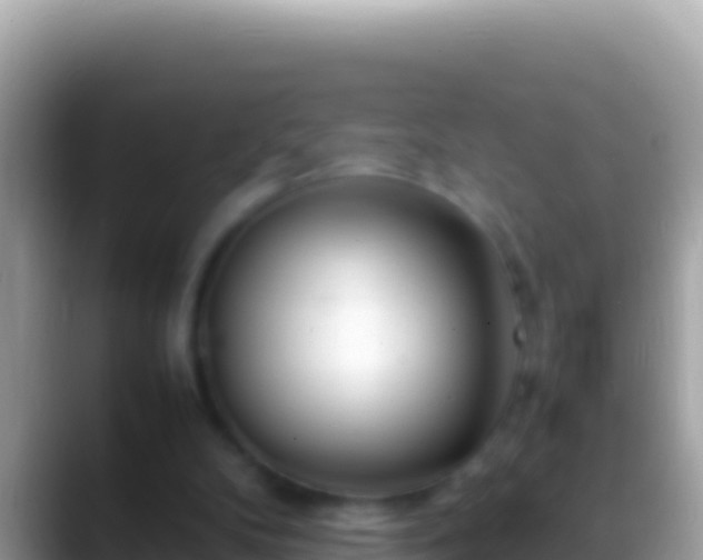 X0000088660104200706011247