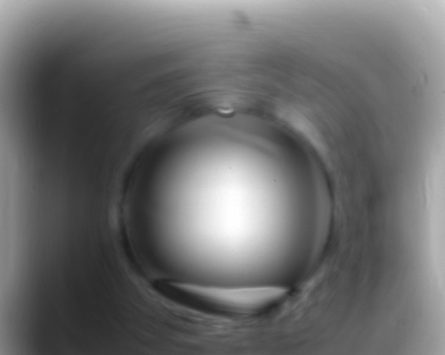 X0000088660105200706011247