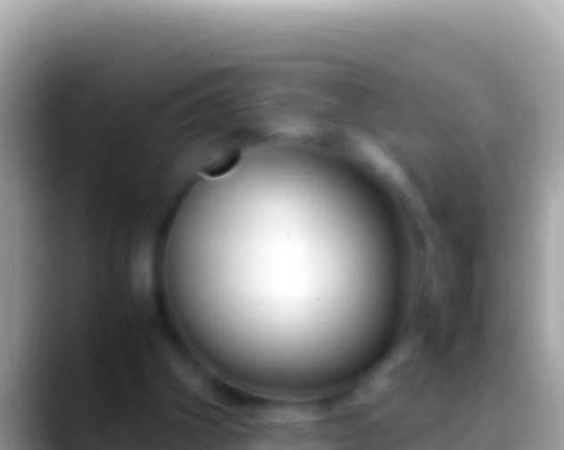 X0000088660106200706011247