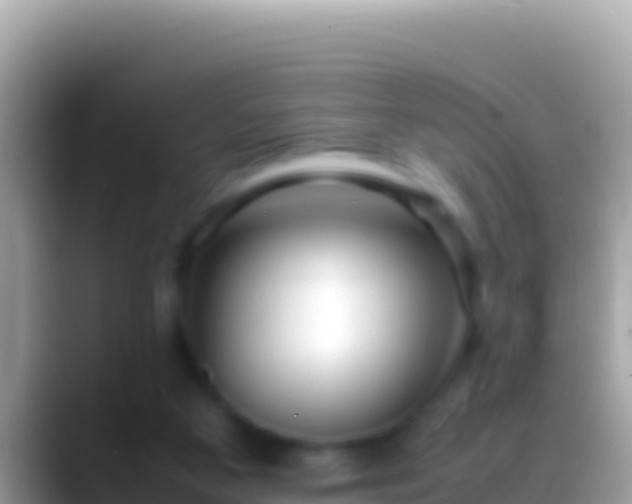 X0000088660113200706011247