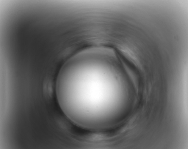 X0000088660115200706011247