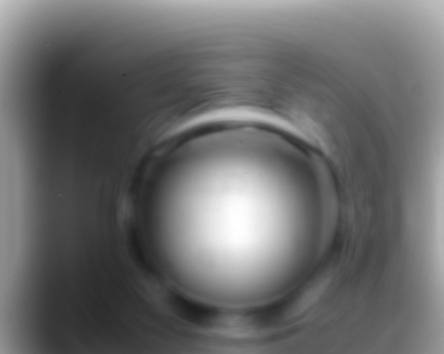 X0000088660117200706011247