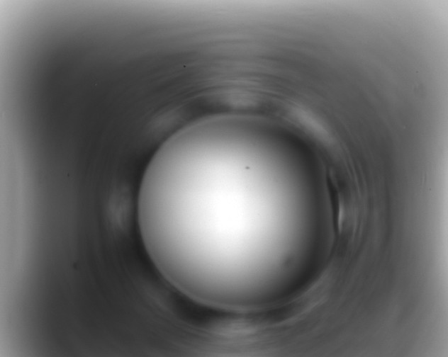 X0000088660120200706011247