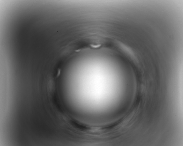 X0000088660121200706011247