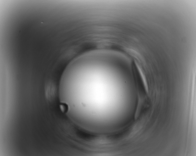 X0000088660123200706011247