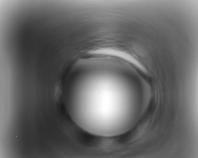 X0000088660127200706011246