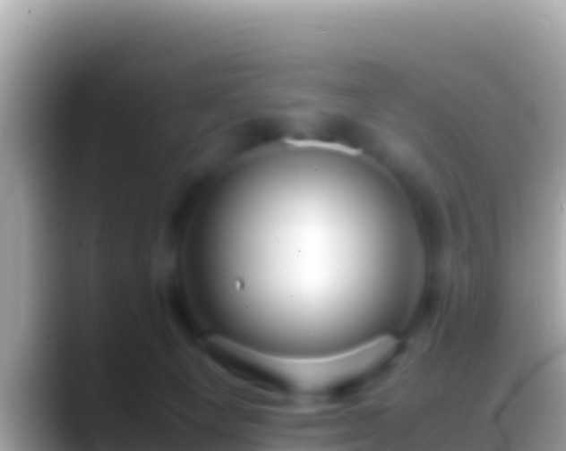 X0000088660129200706011246