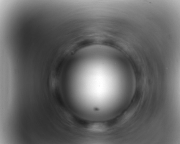 X0000088660137200706011246